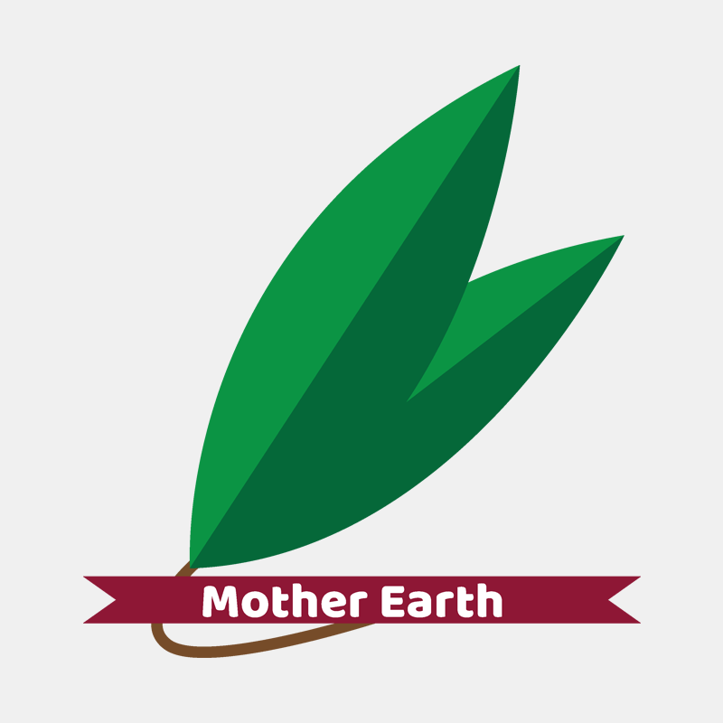 Mother Earth Project Image